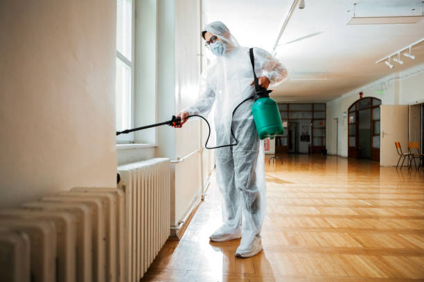 Best Residential Pest Control  in Paulden, AZ